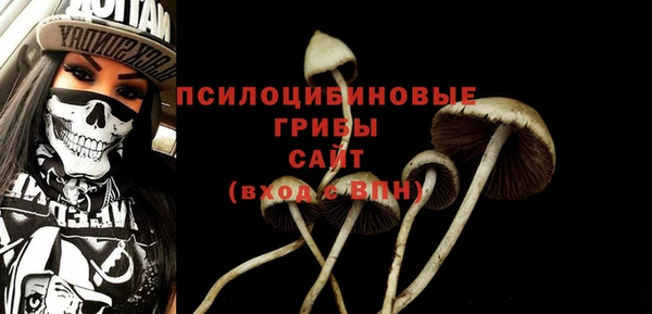 МДМА Гатчина