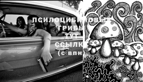 a pvp Зеленокумск