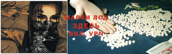 прущие грибы Зеленодольск