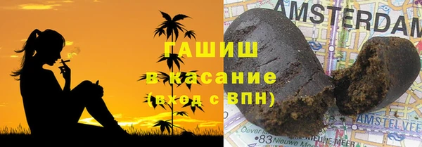 прущие грибы Зеленодольск